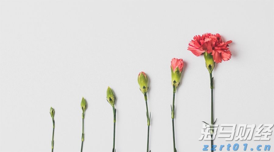 超滤系统原理及用途是什么(超滤是什么)